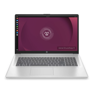 HP 17P N100 - 17,3 Pouces (~43,94 cm) - Intel® N100  - 4 Go - 128 Go - Ordinateur portable Linux - Linux Shop