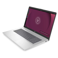 HP 17P N100 - 17,3 Pouces (~43,94 cm) - Intel® N100  - 4 Go - 128 Go - Ordinateur portable Linux - Linux Shop