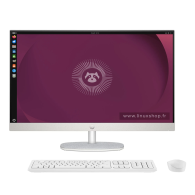 AIO HP 24P N100 - Intel N100 - RAM 8 Go - SSD 512 Go - Ordinteur tout en un - Linux Shop